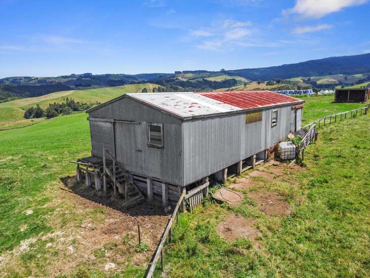 870 Mangati Road Pirongia_23