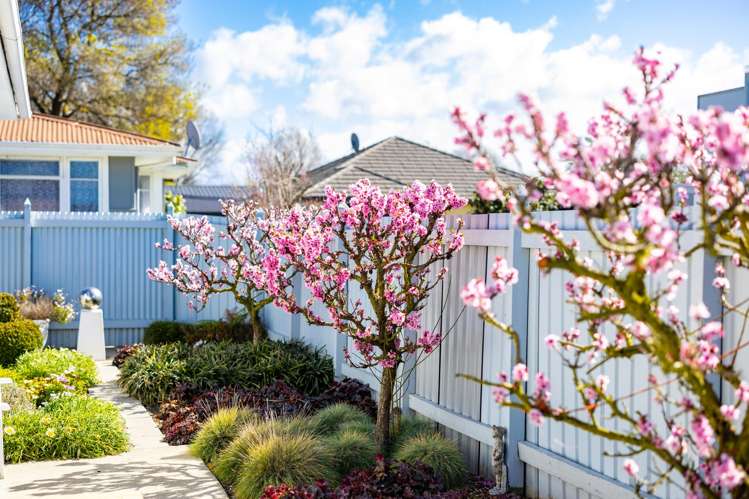 68a Lee Street Blenheim Central_14