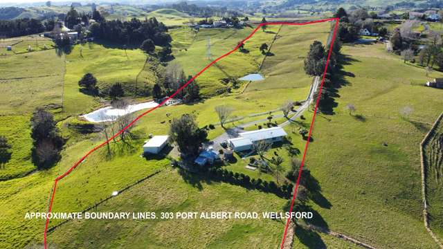 303 Port Albert Road Wellsford_4