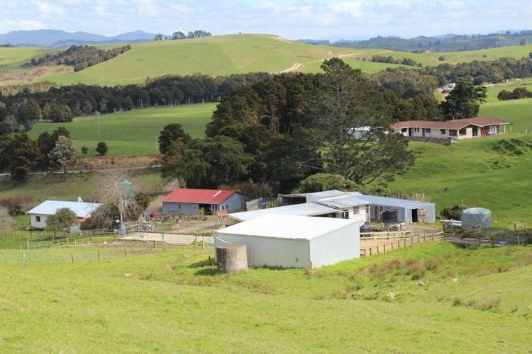 354 Tapuhi Road Hukerenui and Surrounds_5
