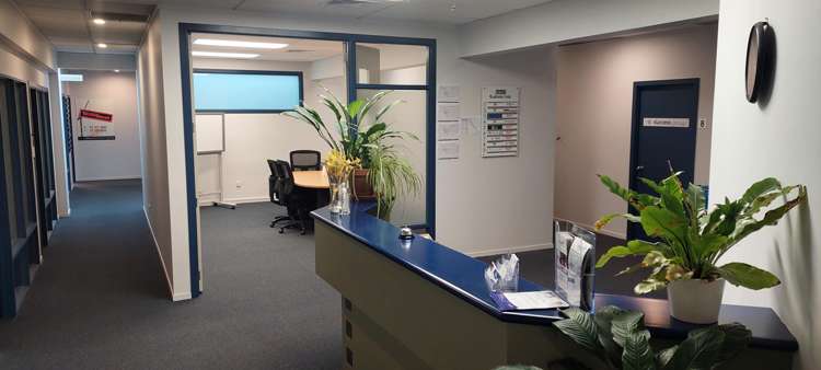 556 Cameron Road South Tauranga Central_1