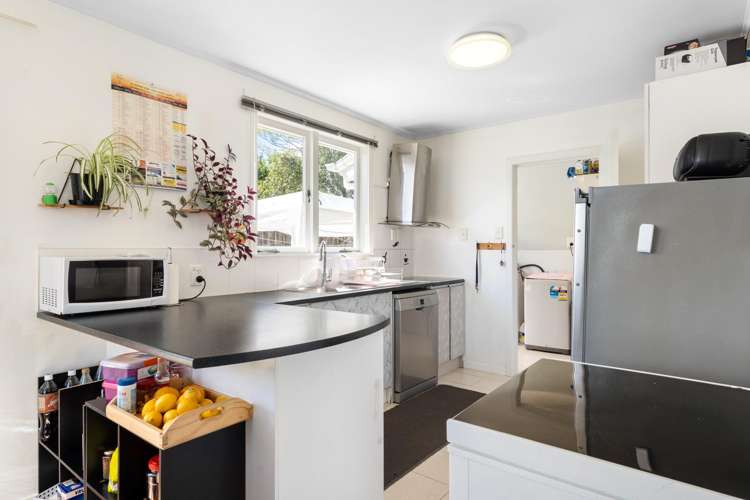 8A Harrington Road Henderson_8