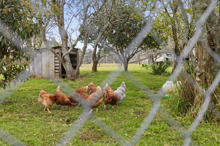 87 Lee Road Onewhero_25