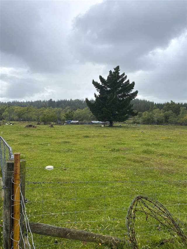 15 York Street Ohai_4