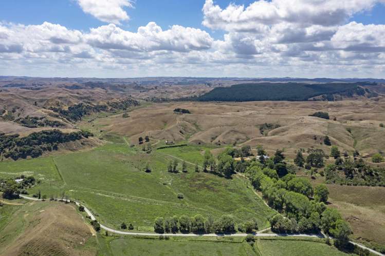 475 Te Akau South Road Te Akau_4