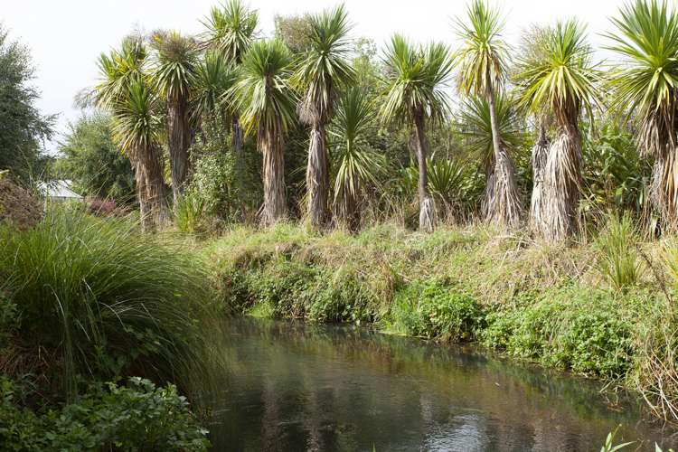 47 Waiau Street Cracroft_19