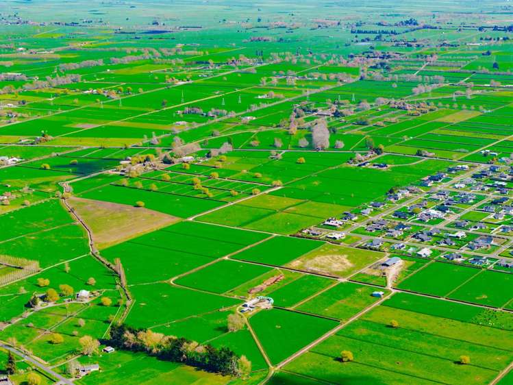 122 Rotoorangi Road Cambridge_29