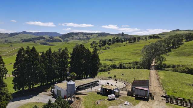 729 Waihi Whangamata Road Waihi_3