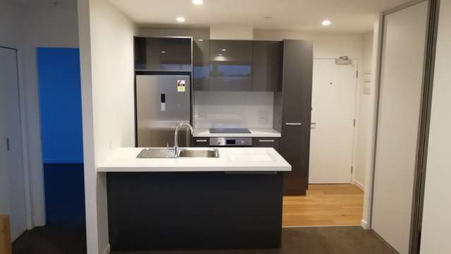 110/8 Lakewood Court Manukau_1