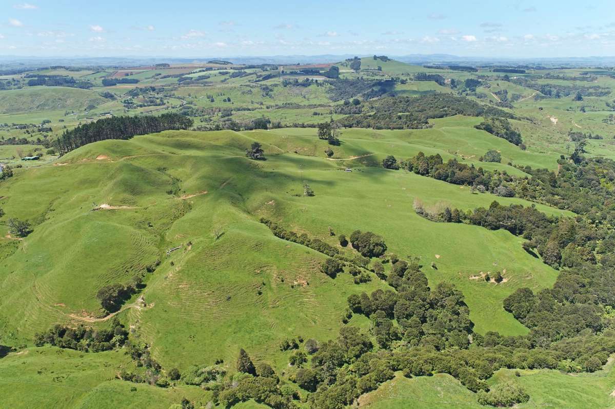 357 Onewhero-Tuakau Bridge Road_2