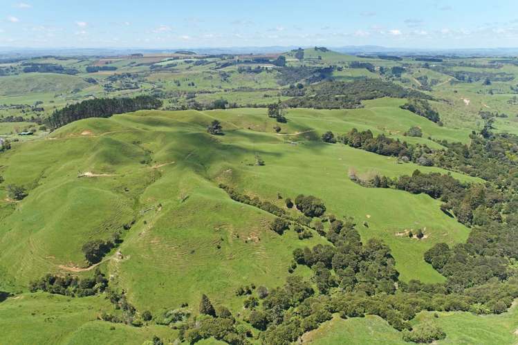 357 Onewhero-Tuakau Bridge Road Onewhero_6