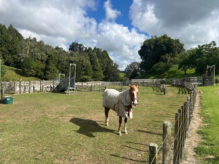 693G Stanley Road Wainui_22