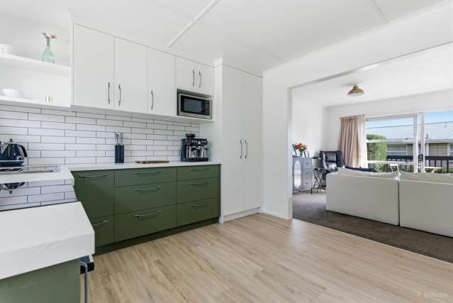 3/8 Campbell Street Maori Hill_1