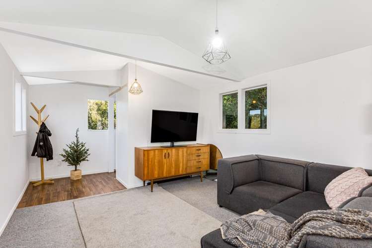 4 Broomhill Road Aro Valley_20