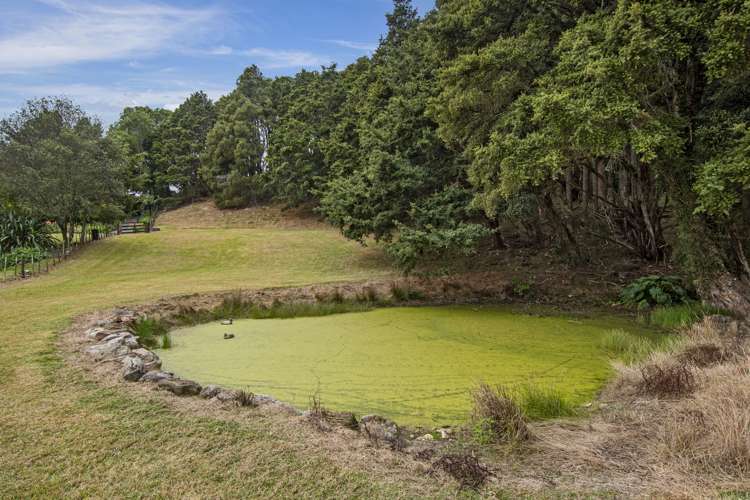 316A Crane Road Kauri_4