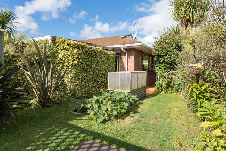 3/137 Te Heuheu Street Taupo_12
