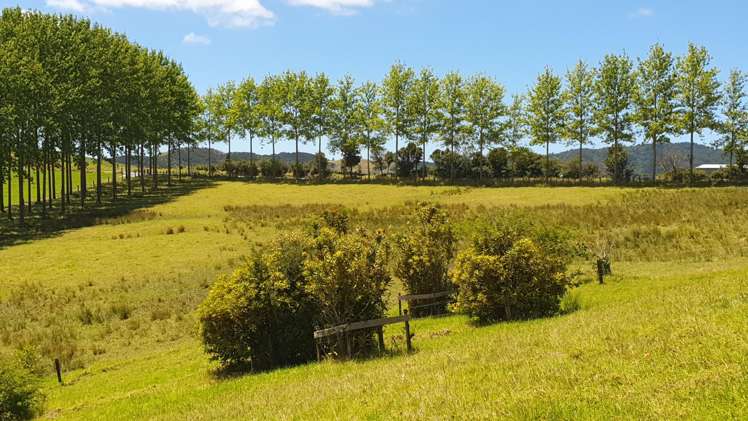 237 Hewlett Road Mata_25