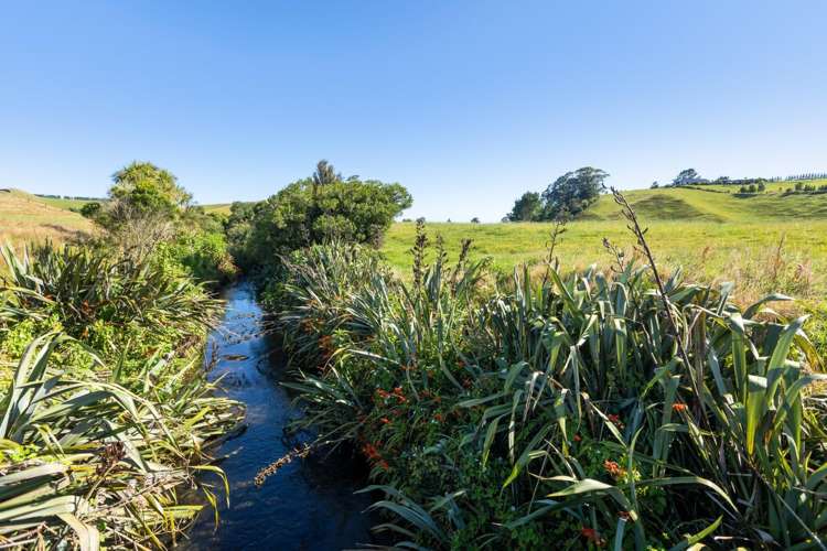 860 Egmont Road Hillsborough_20