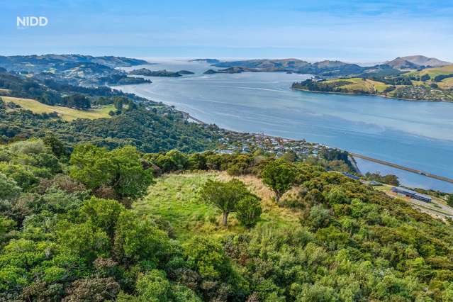 66 Kakapo Street Saint Leonards_3