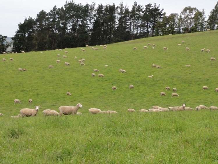 573 Glenmark Drive Waipara_9