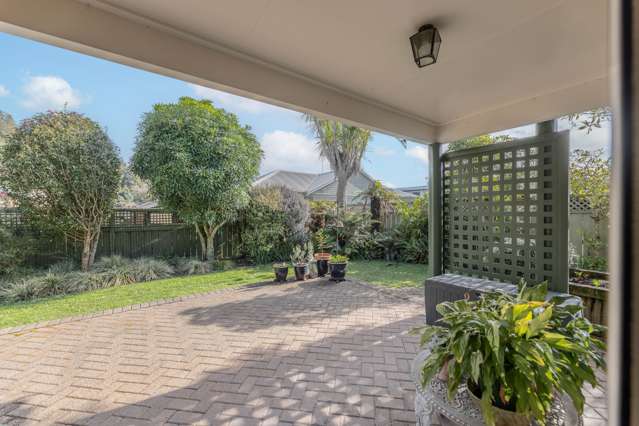 9b Short Street Claudelands_3