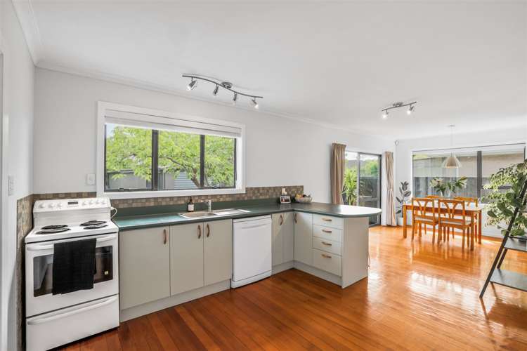 296 Opawa Road Hillsborough_6