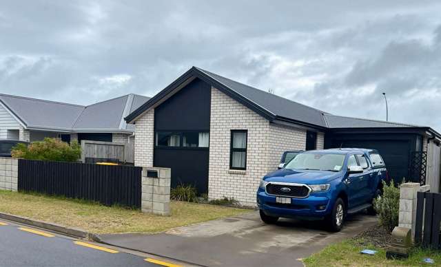 107 Union Drive Papamoa_1