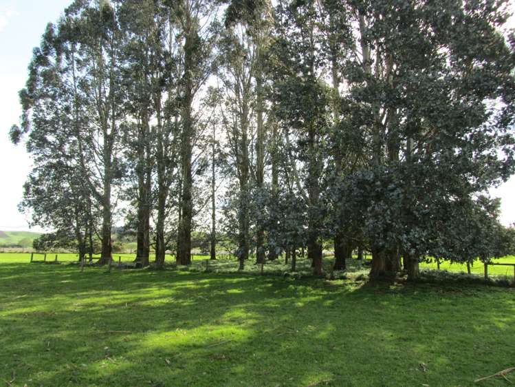 1983 Ohai Clifden Highway Otautau_28