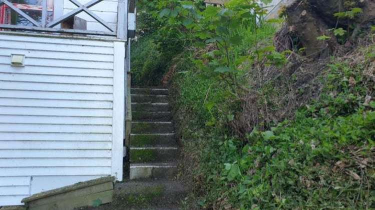 13 Mortimer Terrace Aro Valley_18