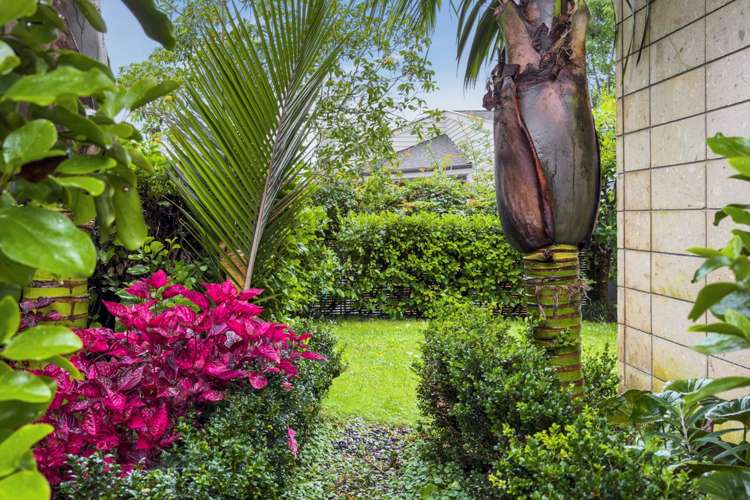 77a Fancourt Street Meadowbank_19