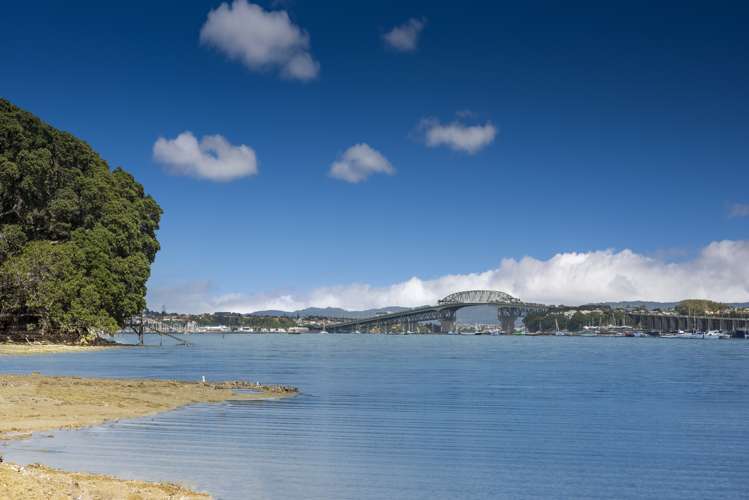 15a Beresford Street Bayswater_9