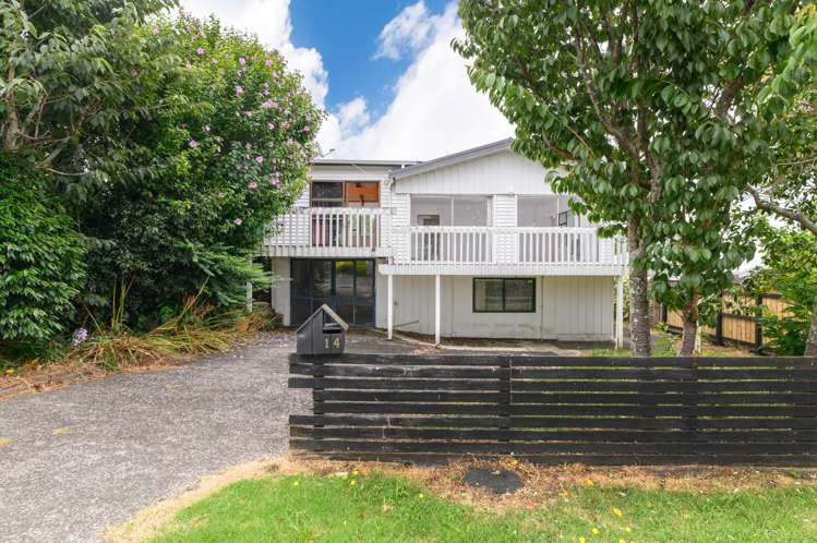 14 Laurel Street Mt Albert_1