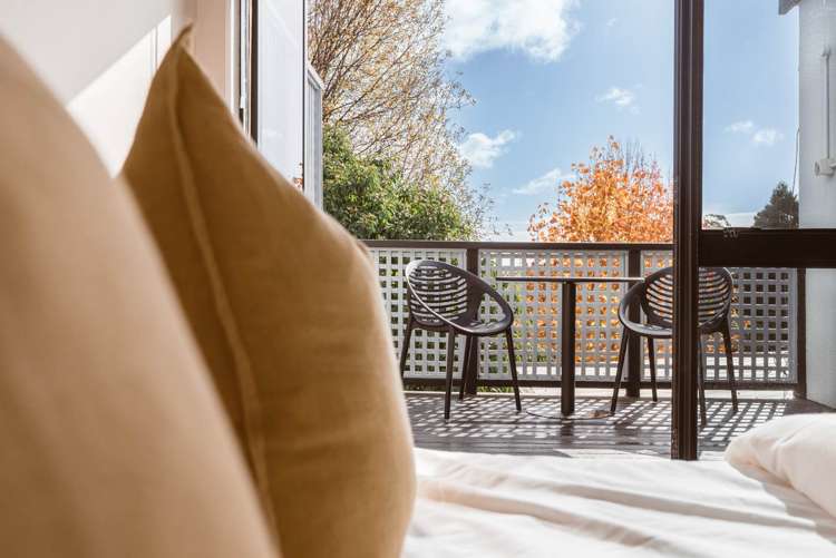 2b Cradock Street Avondale_12