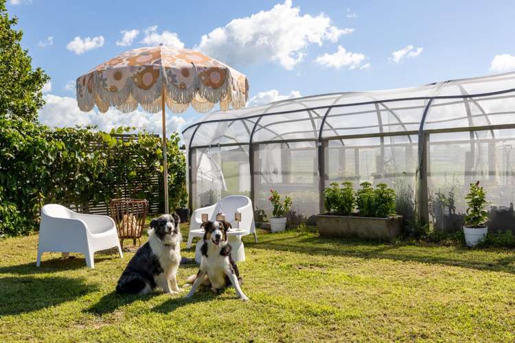 320 Seafund Road Wharepuhunga_20