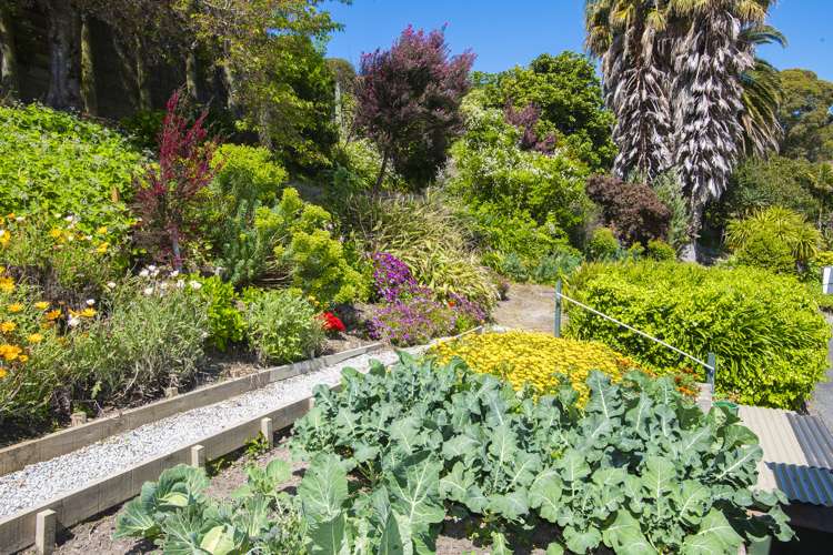 32 Argyll Street Mangapapa_16