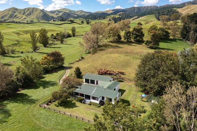 28 Wyborn Road Te Aroha_3