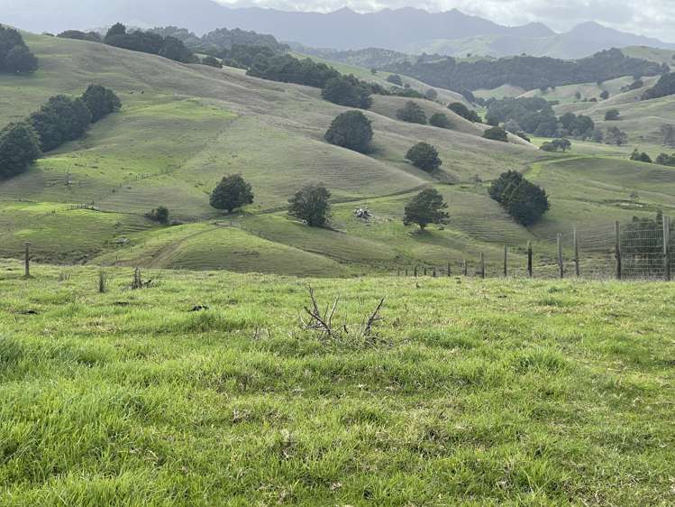 426 Mangarata Block Road Arapohue_19