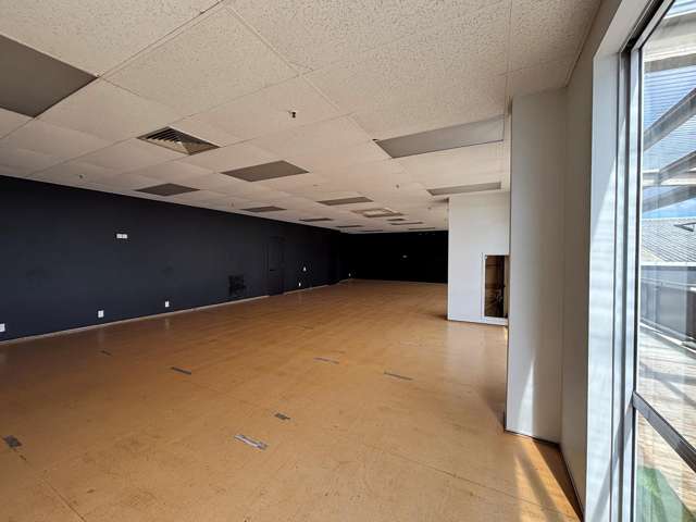 FF/462 Tuam Street Phillipstown_1