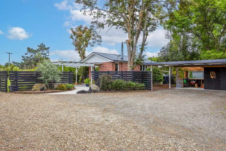 5 Canterbury Street Ashley_1