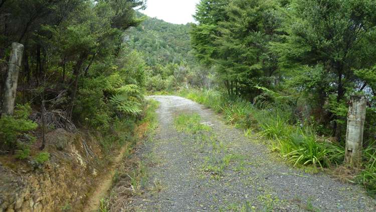 45 Otuturu Crescent Thames_18