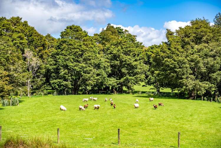 197 Totara Park Lane Glenbervie_27