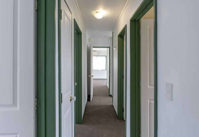 18A Carlton Street Te Aroha_3