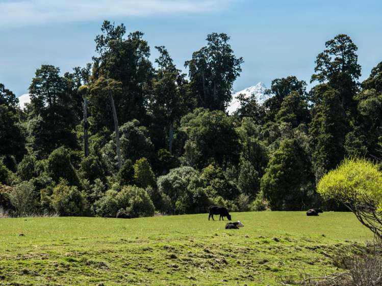 43 Railway Row Ohakune_13