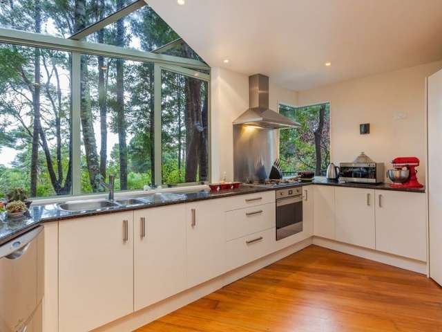 81 Tanekaha Road Titirangi_3