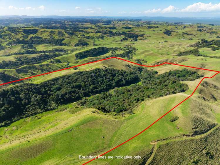 1672 Awhitu Road Waiuku_15