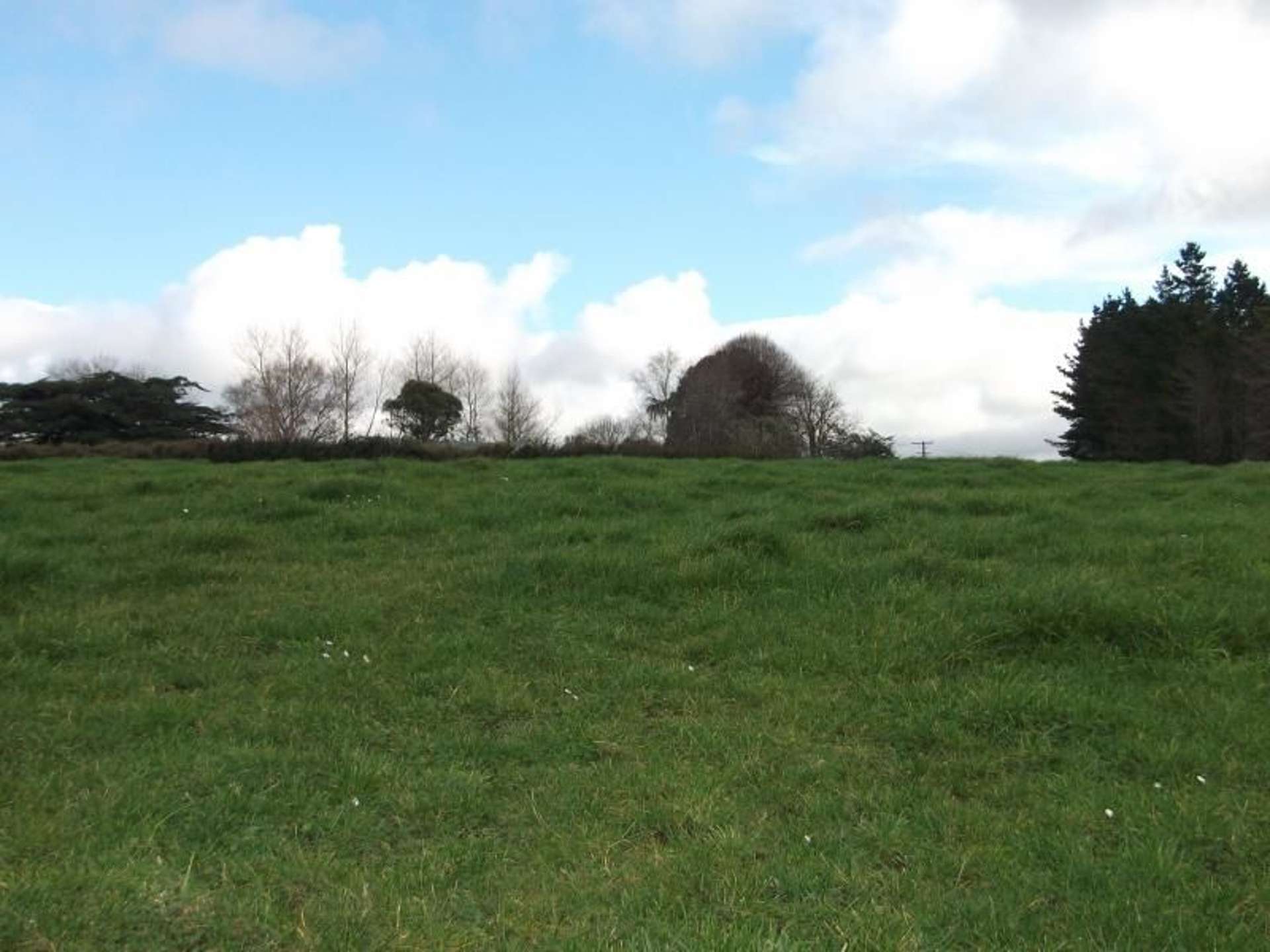 273 Opunake Road Cardiff_0