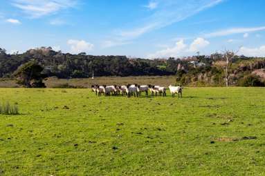 167 Lennon Access Road_3