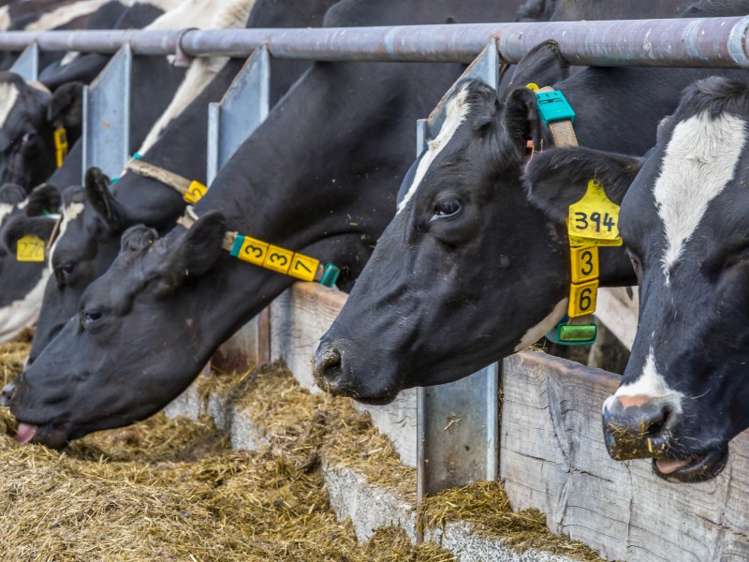 939 Hudsons Road Motukarara_0