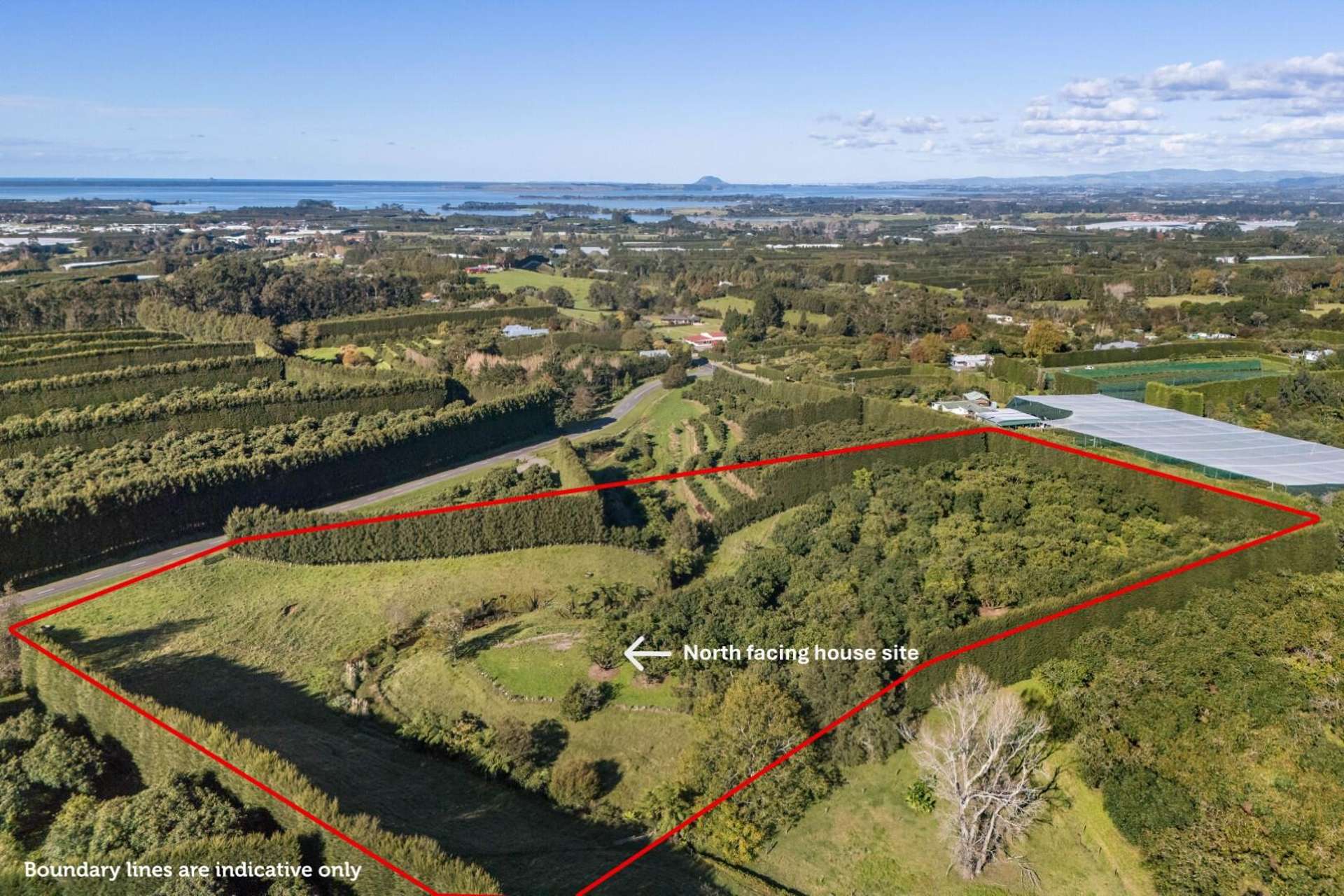 222 Wharawhara Road Katikati_0