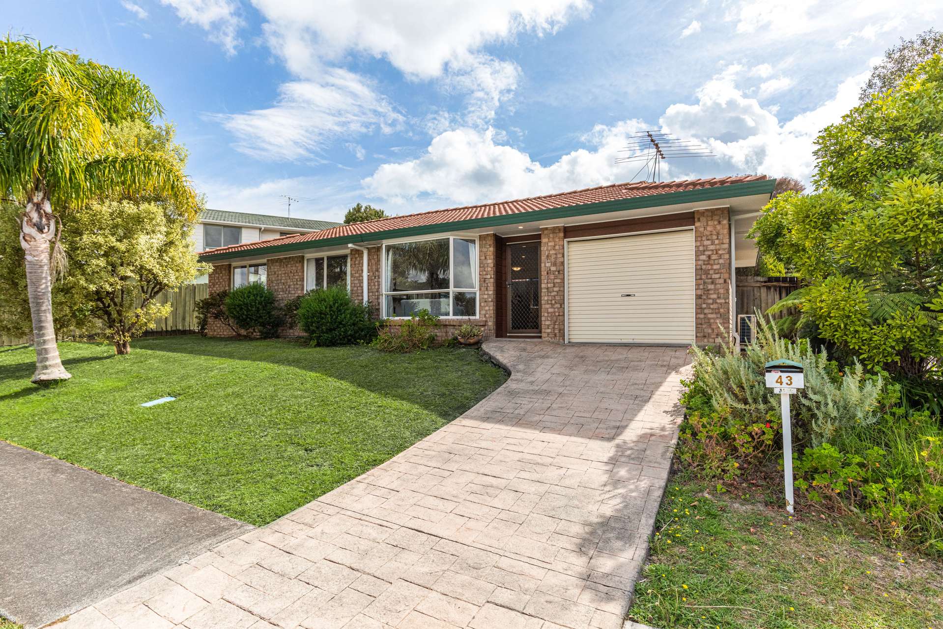 43 Donald Street Stanmore Bay_0